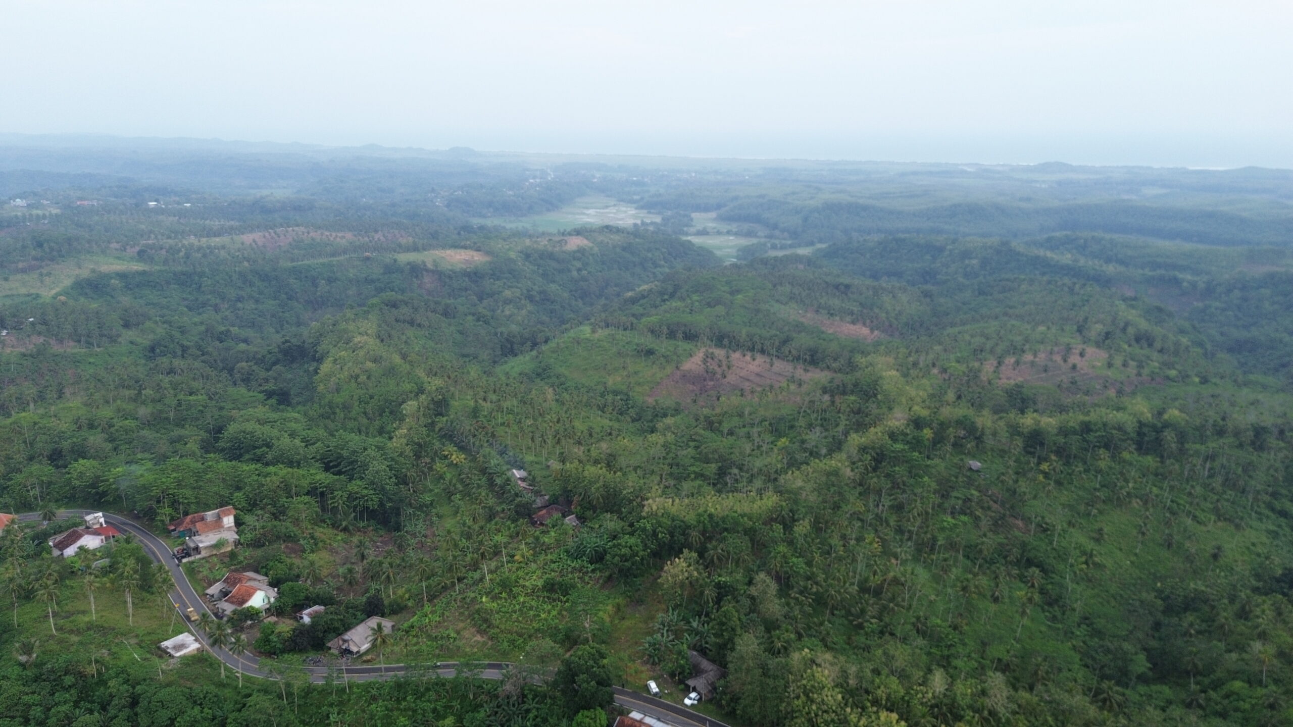 pohon plasma plantations pohon plasma plantations